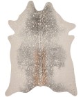 Loloi II Bryce BZ-07  Area Rug
