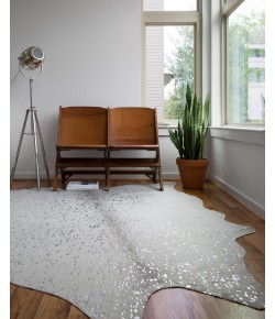 Loloi Bryce BZ-09 STONE / SILVER Area Rug 3 ft. 10 in. X 5 ft. Rectangle