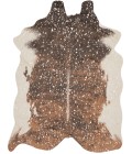 Bryce Rug Loloi II Bryce BZ-10 Area Rug