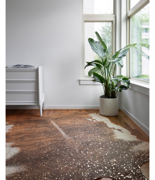 Bryce Rug Loloi II Bryce BZ-10 Area Rug