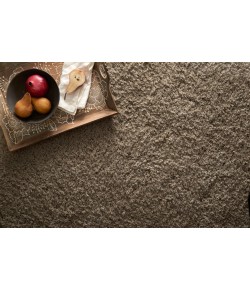 Loloi Cozy Shag CZ-01 TAUPE Area Rug 3 ft. 6 in. X 5 ft. 6 in. Rectangle