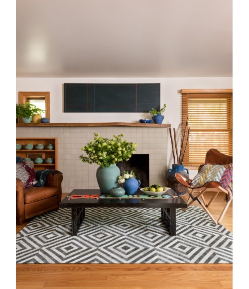 Loloi Dorado DB-03  Area Rug