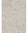 Loloi Dorado DB-04  Area Rug