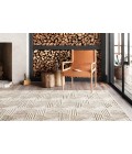 Ehren Rug Loloi Ehren EHR-04 Area Rug