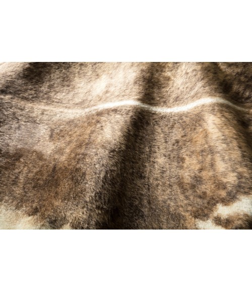Grand Canyon Rug Loloi II Grand Canyon GC-01 Area Rug