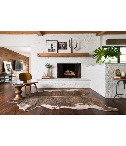Grand Canyon Rug Loloi II Grand Canyon GC-01 Area Rug