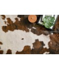 Grand Canyon Rug Loloi II Grand Canyon GC-05 Area Rug