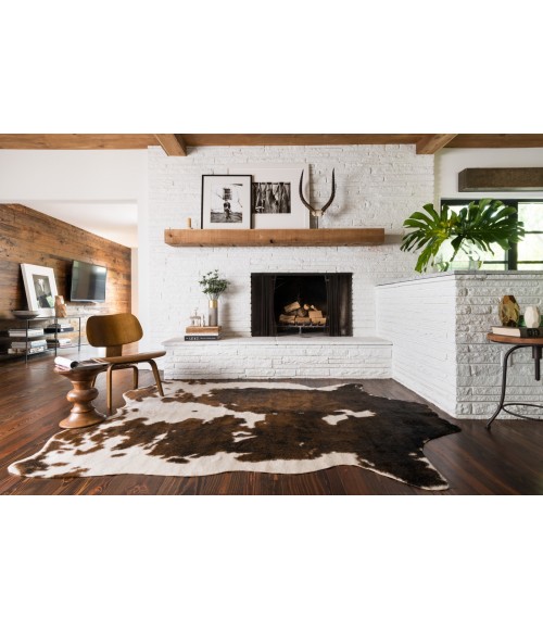 Grand Canyon Rug Loloi II Grand Canyon GC-05 Area Rug