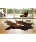 Grand Canyon Rug Loloi II Grand Canyon GC-05 Area Rug