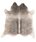 Grand Canyon Rug Loloi II Grand Canyon GC-11 Area Rug