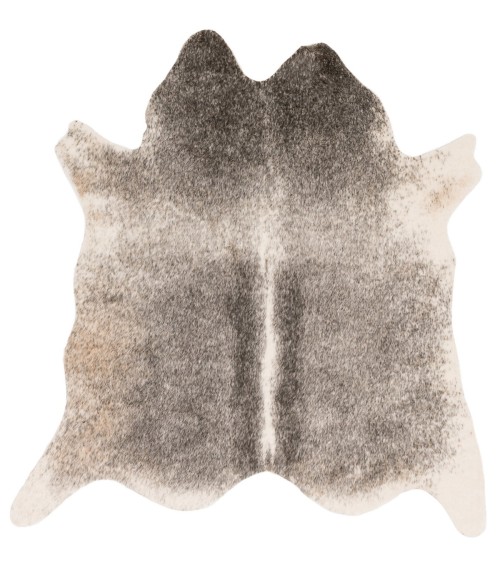 Grand Canyon Rug Loloi II Grand Canyon GC-11 Area Rug