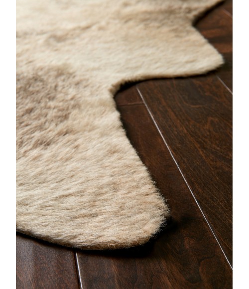 Loloi II Grand Canyon GC-13  Area Rug