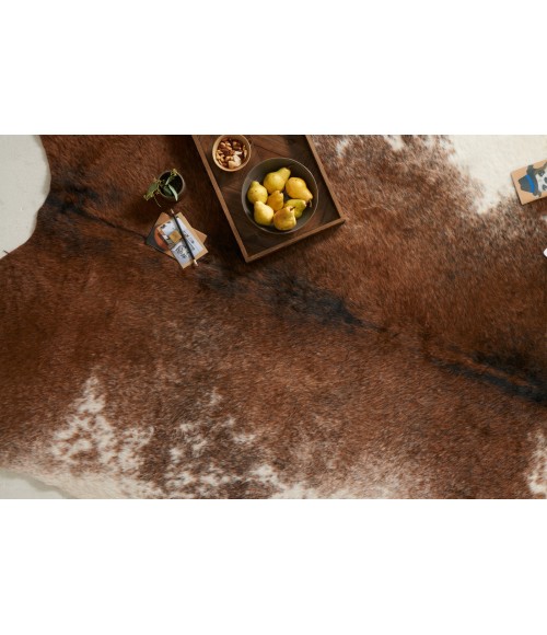 Grand Canyon Rug Loloi II Grand Canyon GC-14 Area Rug