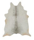 Grand Canyon Rug Loloi II Grand Canyon GC-15 Area Rug