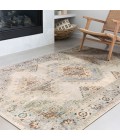 Loloi II Isadora ISA-01  Area Rug