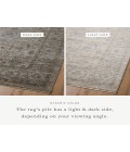 Jean Stoffer x Loloi Katherine Beige / Mist KES-03 2 ft. 3 in. X 3 ft. 10 in. Rectangle Rug