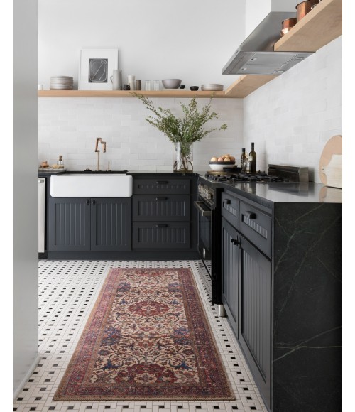 Loren Rug Loloi II Loren LQ-11 Area Rug