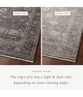 Loloi Lyra Ink / Multi 2'-3" x 3'-10" Accent Rug