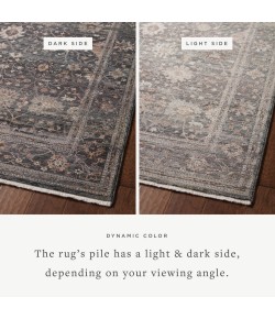 Loloi Lyra LYR-04 Ink / Multi Area Rug 7 ft. 10 in. X 10 ft. Rectangle