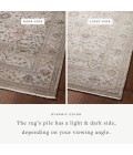 Loloi Lyra Pebble / Multi 5'-3" x 7'-9" Area Rug