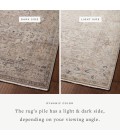 Loloi Lyra Natural / Gold 7'-10" x 10' Area Rug