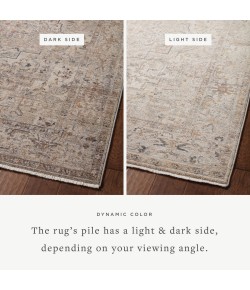 Loloi Lyra LYR-06 Natural / Gold Area Rug 7 ft. 10 in. X 10 ft. Rectangle
