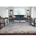 Loloi Mirage MK-01  Area Rug