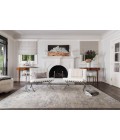 Loloi Mirage MK-01  Area Rug