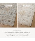 Loloi Monroe Area Rug Loloi II Monroe Beige / Multi 18" x 18" Sample Rug