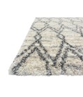 Loloi Quincy QC-04  Area Rug