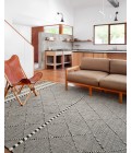 Sawyer Rug Loloi II Sawyer SAW-01 Area Rug