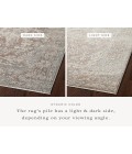 Loloi Sonnet Silver / Natural 11'-6" x 15' Area Rug