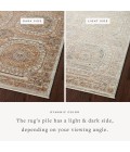 Loloi Sonnet Area Rug Loloi Sonnet Apricot / Multi 3'-7" x 5'-7" Accent Rug