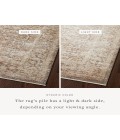 Loloi Sonnet Mocha / Tan 18" x 18"Sample Rug