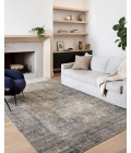 Teagan Rug Loloi II Teagan TEA-05 Area Rug