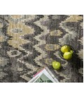 Transcend Rug Loloi Transcend TD-01 Area Rug
