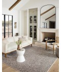 Vance Area Rug Loloi II Vance VAN-10 Taupe / Dove 7'-10" x 10' Area Rug