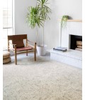 Ziva Rug Loloi II Ziva ZV-01 Area Rug
