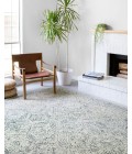 Ziva Rug Loloi II Ziva ZV-03 Area Rug