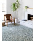 Ziva Rug Loloi II Ziva ZV-04 Area Rug