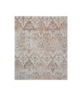 Antiquity  ANTIQ 81453 Area Rug