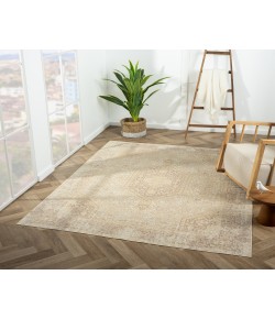 LR Home Ada ARIA-AO Beige 2 ft. 8 in. x 3 ft. 10 in. Rectangle Area Rug