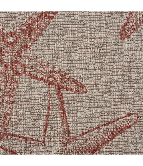 Captiva CAPTI 81020 Area Rug