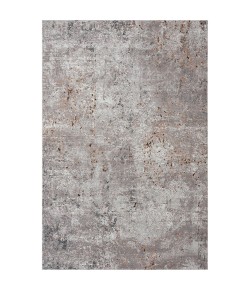Rodha REV-AA Gray Area Rug 5 ft. 3 in. X 7 ft. 6 in. Rectangle