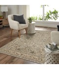 Karastan Euphoria Newbridge Willow Grey Rug