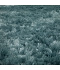 Karastan Billow Shag Sea 5' 3" x 8' Area Rug