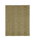 Karastan Broken Stripe Moss 9' x 12' Area Rug