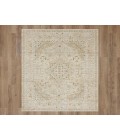 Karastan Windermere Ivory/White R1257 5 ft. X 7 ft. 6 in. Rectangle Rug