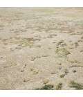 Memento Beige Rug R1160 9 ft. X 12 ft. Rectangle - Rugs Town Karastan Memento Beige R1160 9 ft. X 12 ft. Rectangle Rug
