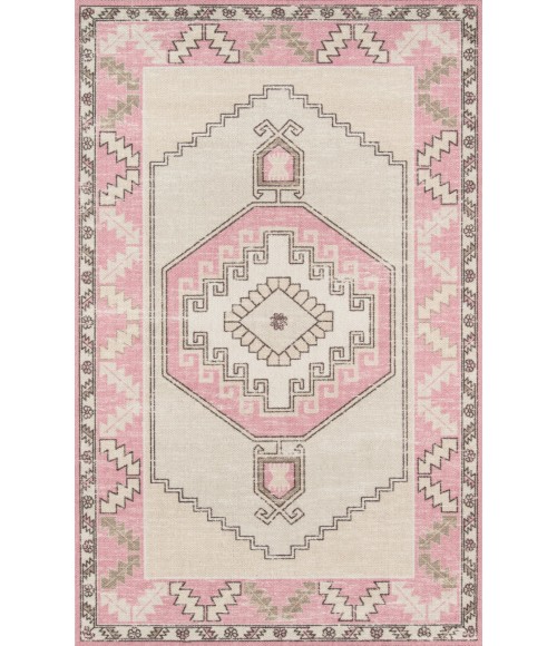 Momeni Anatolia Area Rug ANA-2 Pink 2' X 3'